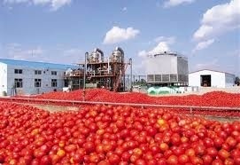 دلیل گرانی رب گوجه در ایران